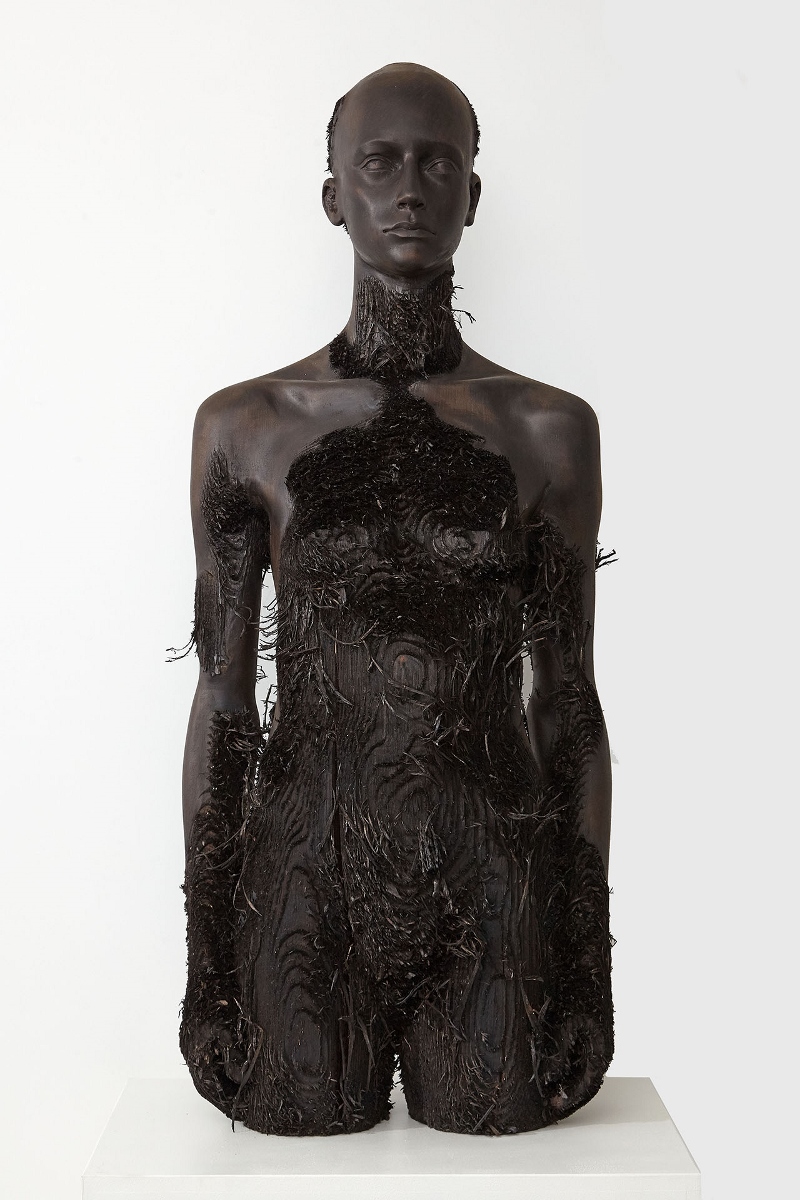 Aron Demetz - Rigenerazioni